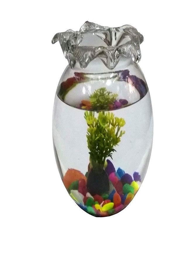 ABG ROUND GLASS TERRARIUM/AQUARIUM VESSEL. ONE UNIT WITH COLORFUL STONES, ONE ARTIFICIAL PLANT AND TWO ARTIFICIAL FISH. 6 INCH - Image 2